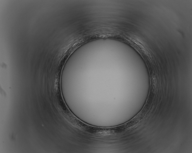 X0000091090499200708061002