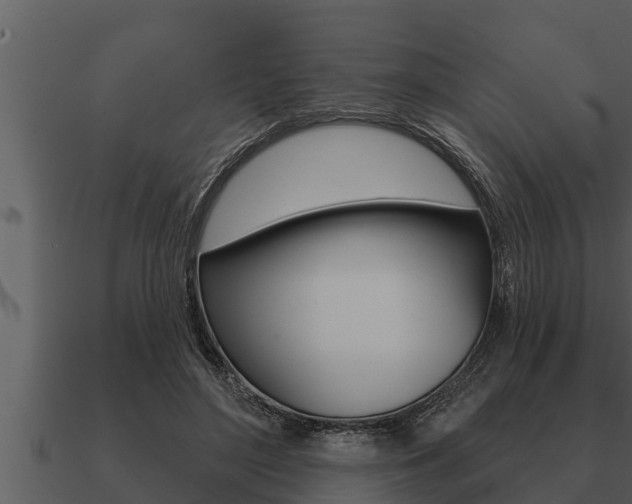 X0000091090500200708061002