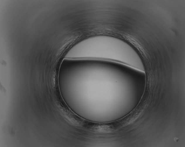 X0000091090501200708061002