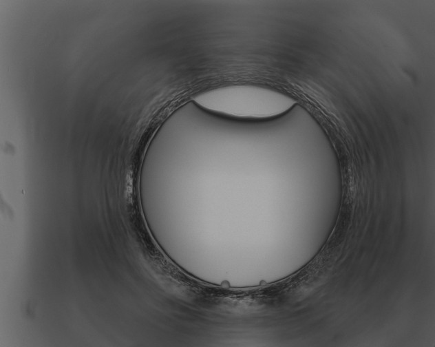 X0000091090502200708061002