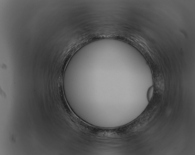 X0000091090503200708061002
