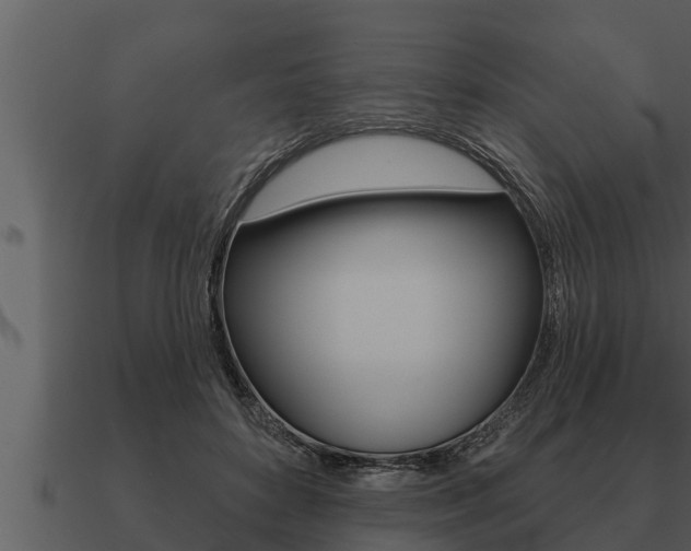 X0000091090504200708061002
