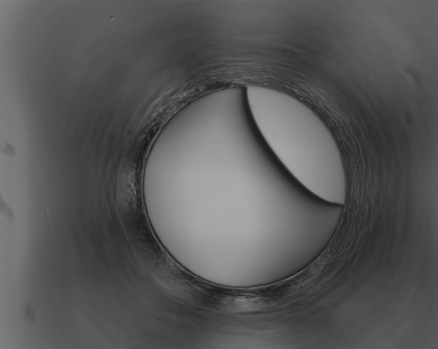 X0000091090506200708061002