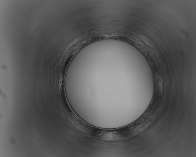 X0000091090507200708061002