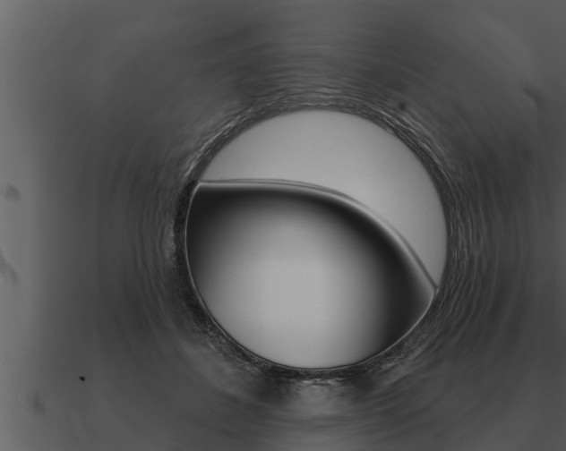 X0000091090508200708061002