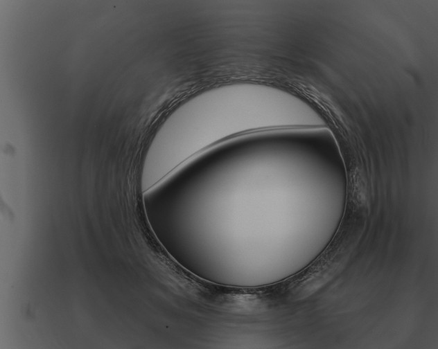 X0000091090509200708061002