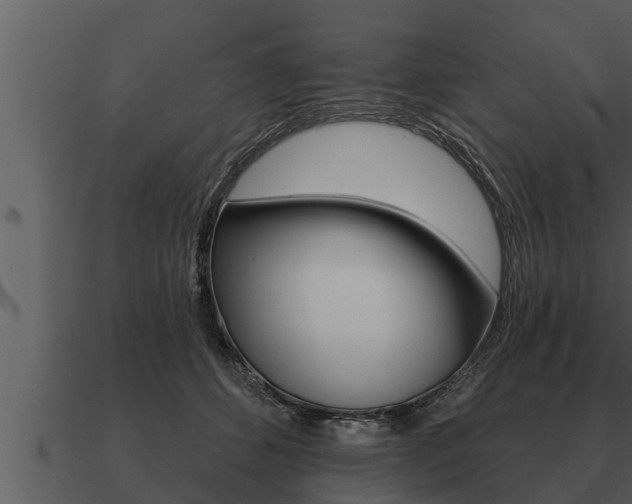 X0000091090512200708061002