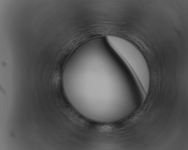X0000091090513200708061002