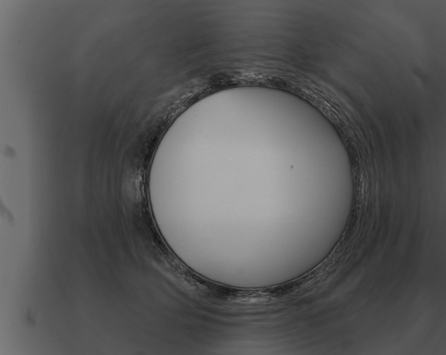 X0000091090514200708061002