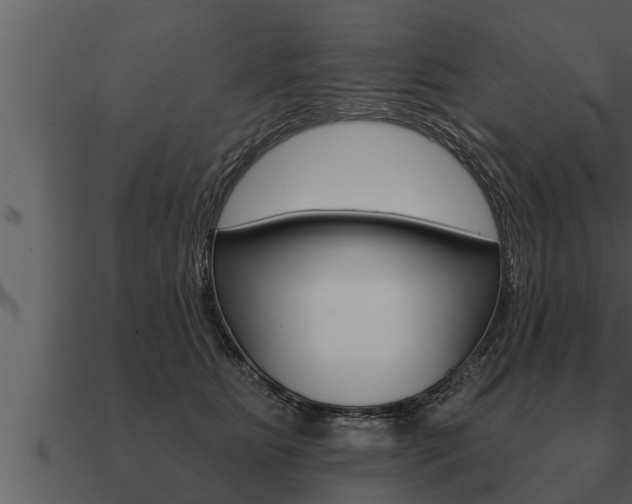 X0000091090515200708061002