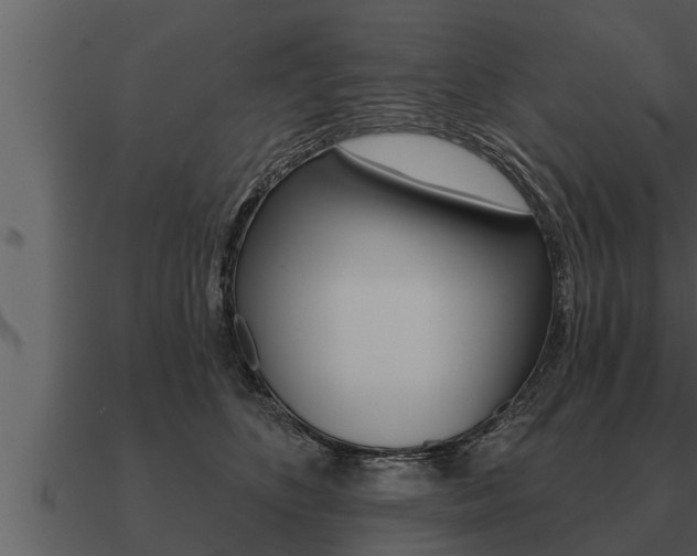 X0000091090516200708061002
