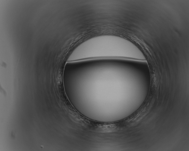 X0000091090517200708061002