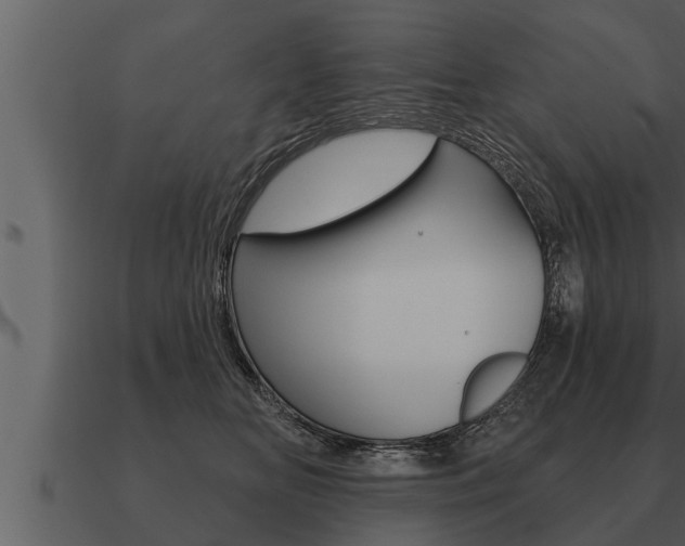 X0000091090518200708061002