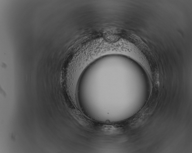 X0000091090519200708061002