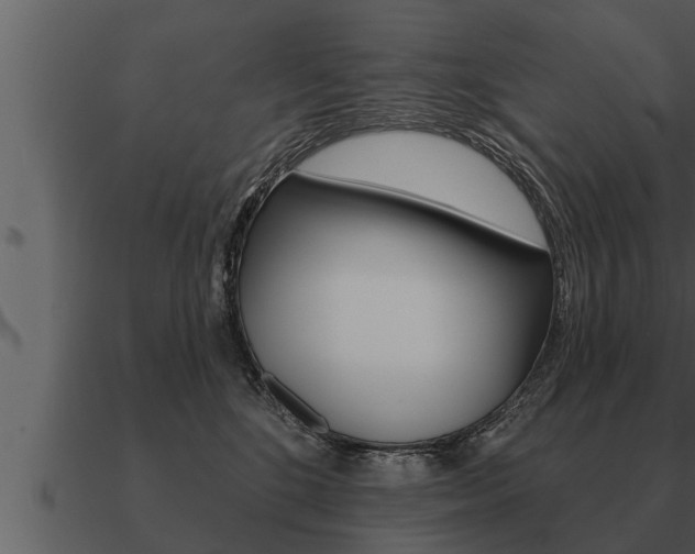 X0000091090520200708061002