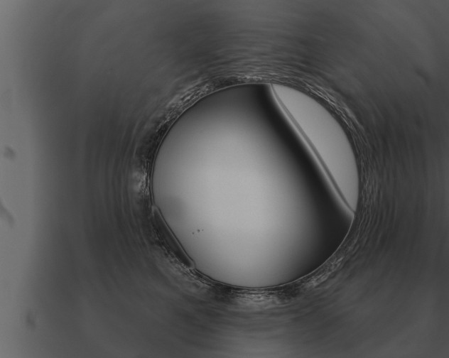 X0000091090521200708061002