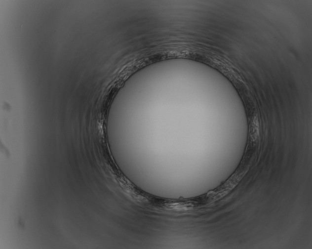 X0000091090522200708061002
