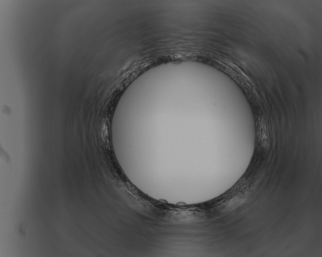 X0000091090523200708061002