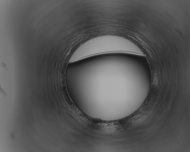 X0000091090524200708061002
