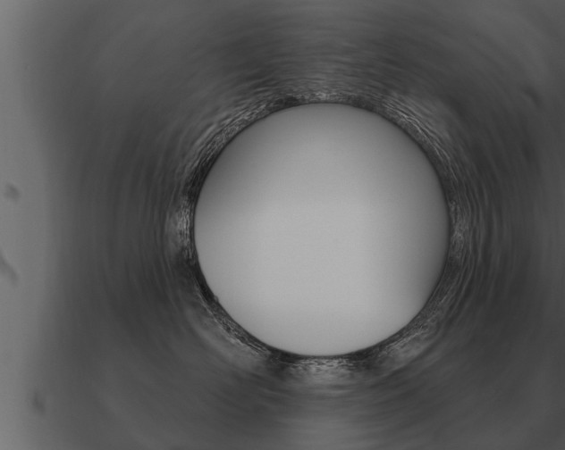 X0000091090526200708061002