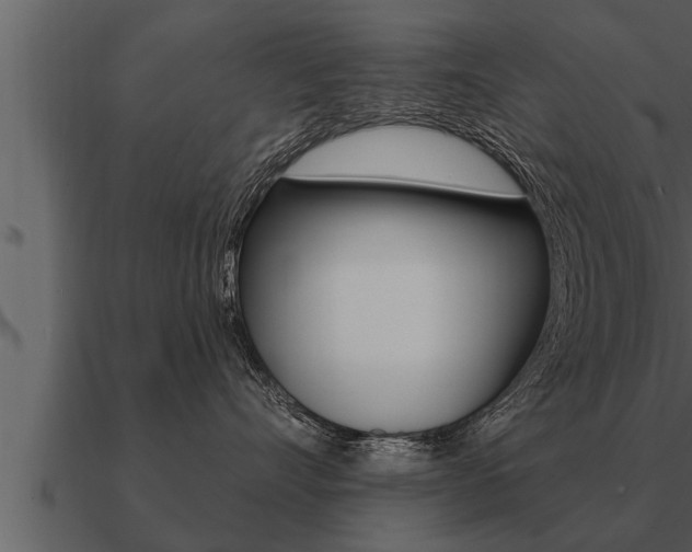 X0000091090528200708061001