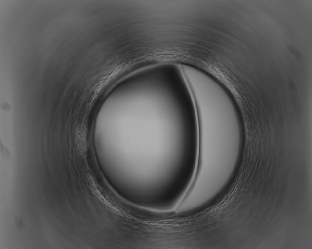 X0000091090530200708061001