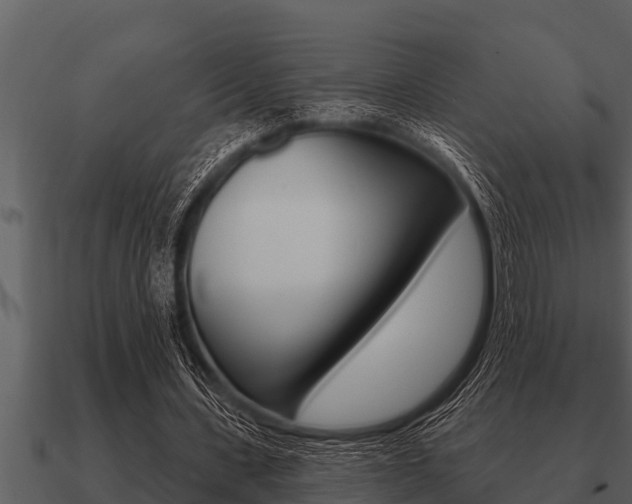 X0000091090531200708061001