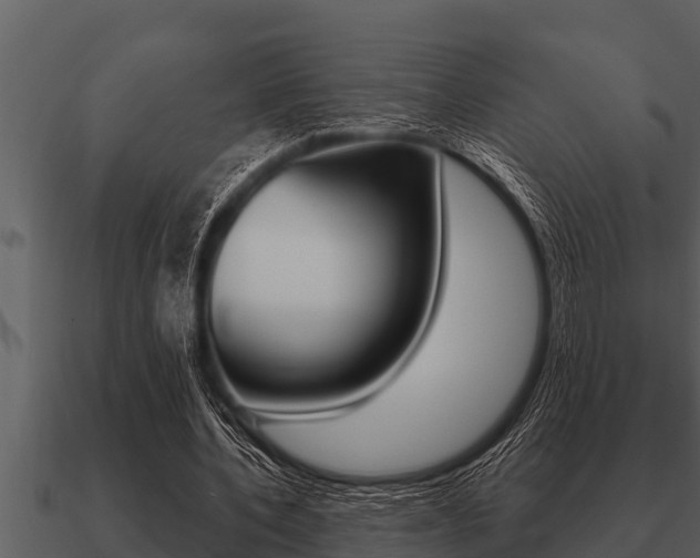 X0000091090532200708061001