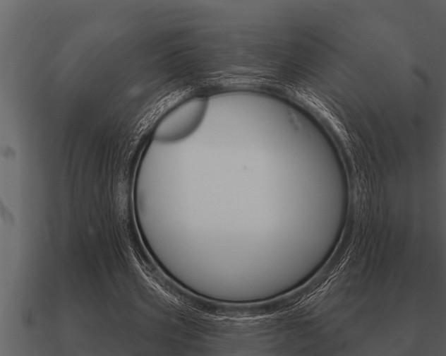 X0000091090533200708061001