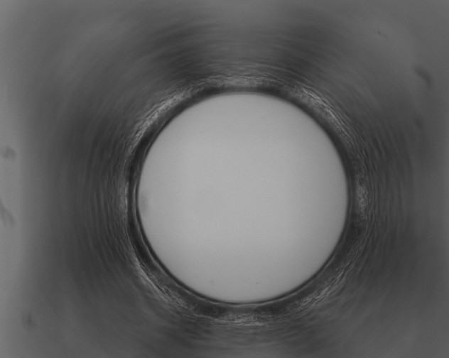 X0000091090534200708061001