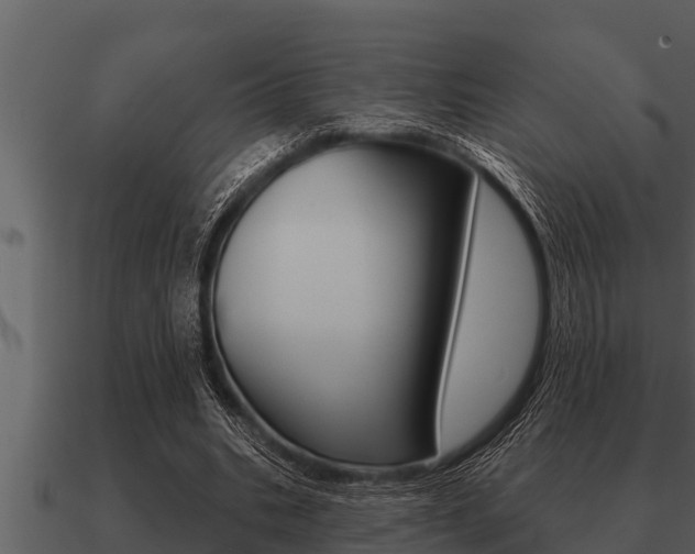 X0000091090535200708061001