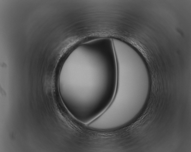 X0000091090536200708061001