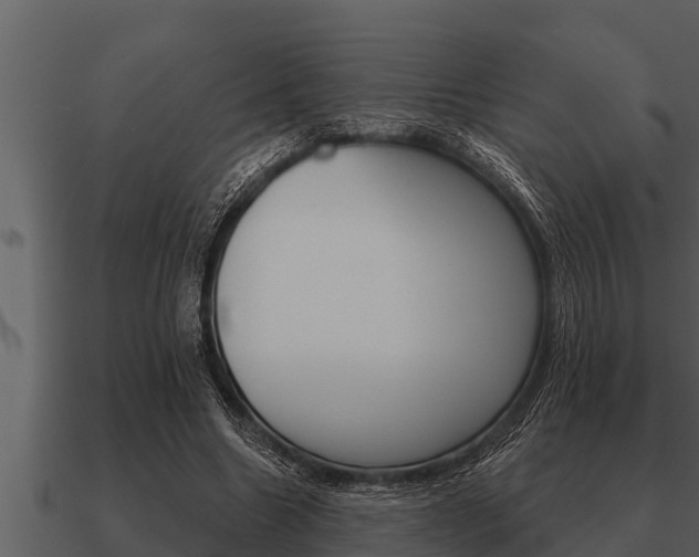 X0000091090538200708061001