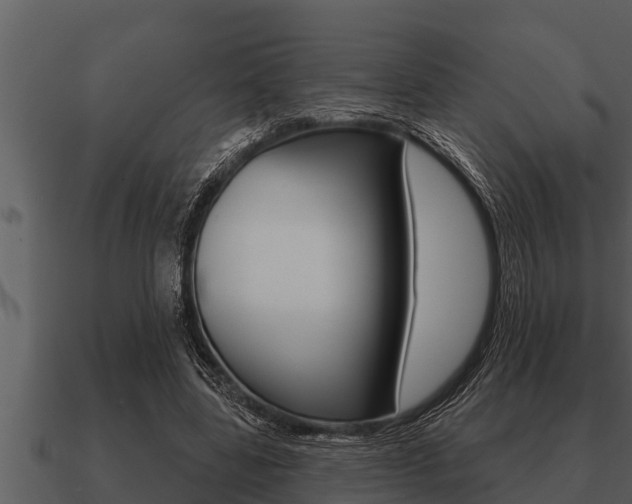 X0000091090539200708061001