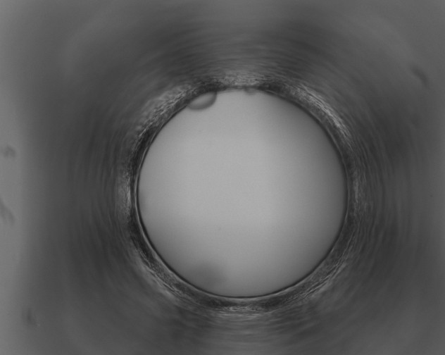 X0000091090541200708061001