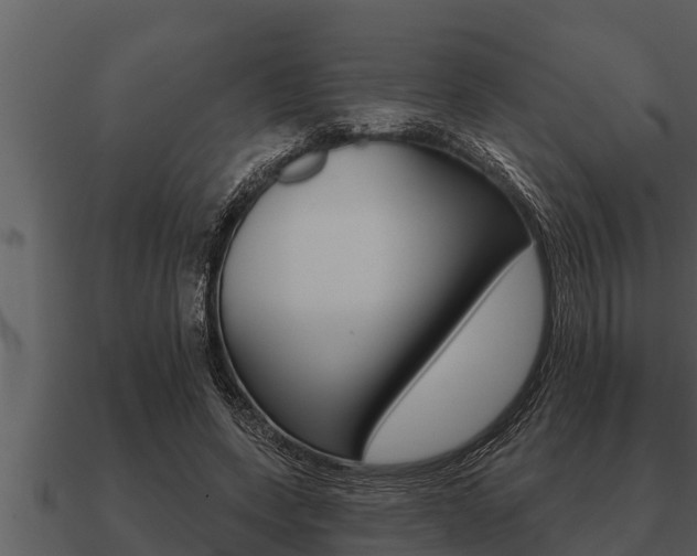 X0000091090543200708061001