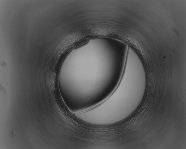 X0000091090544200708061001
