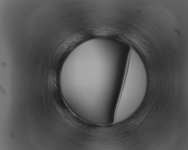 X0000091090547200708061001