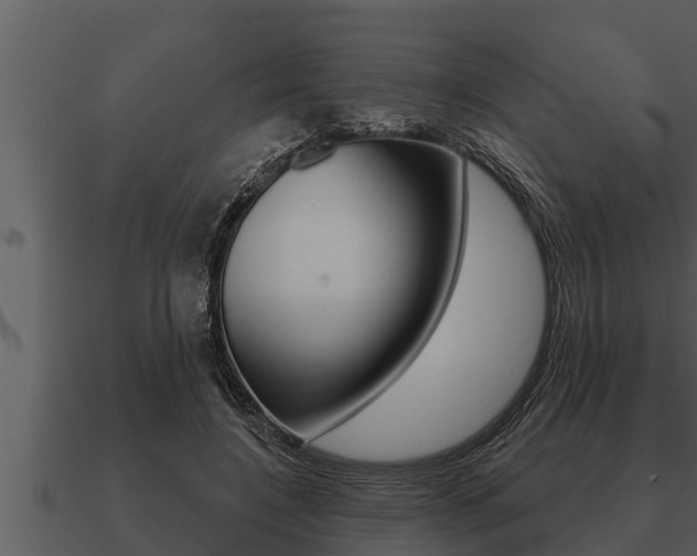 X0000091090548200708061001