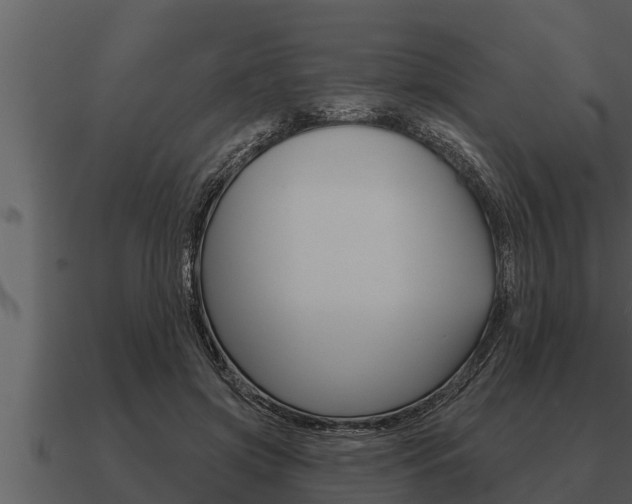 X0000091090549200708061001
