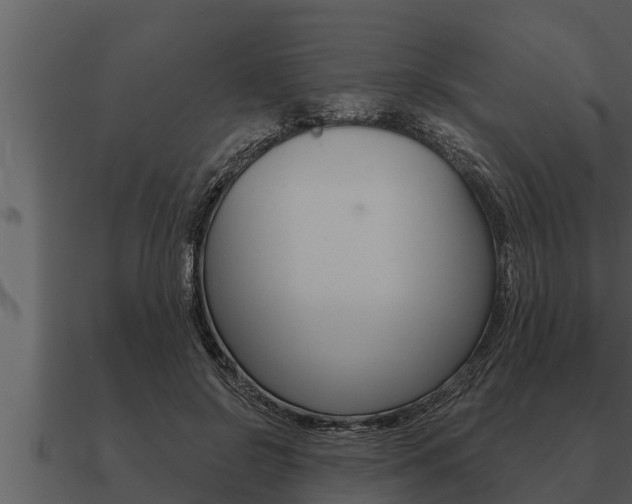X0000091090550200708061001