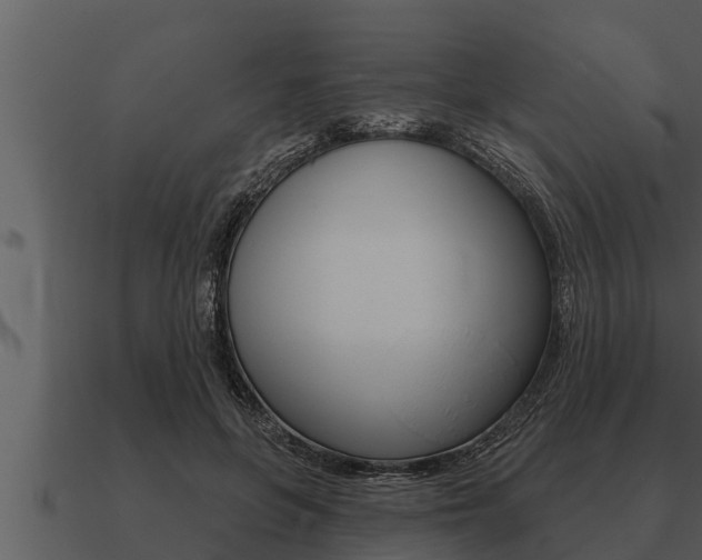 X0000091090551200708061001