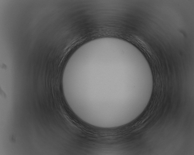 X0000091090552200708061001