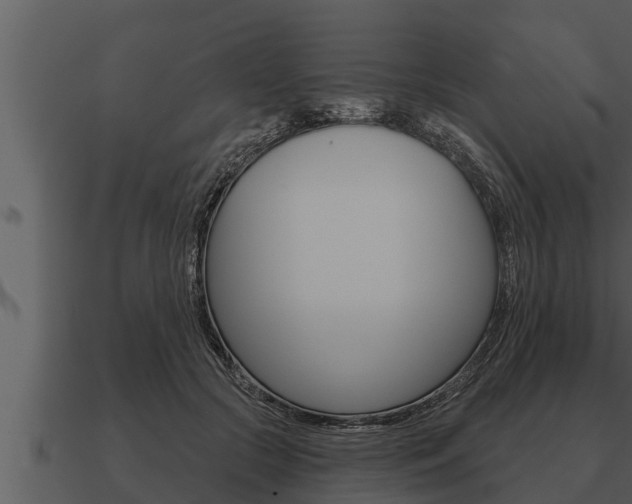 X0000091090553200708061001