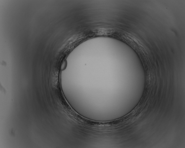 X0000091090554200708061001