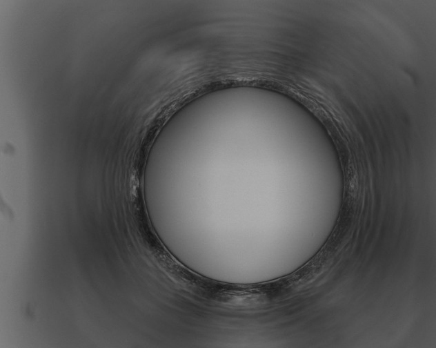 X0000091090555200708061001
