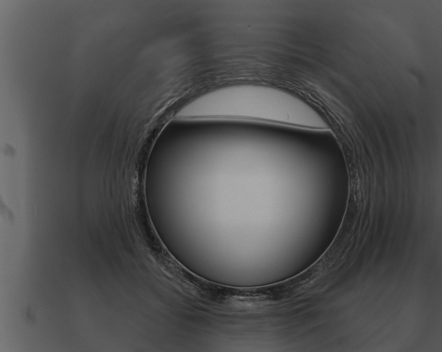 X0000091090556200708061001