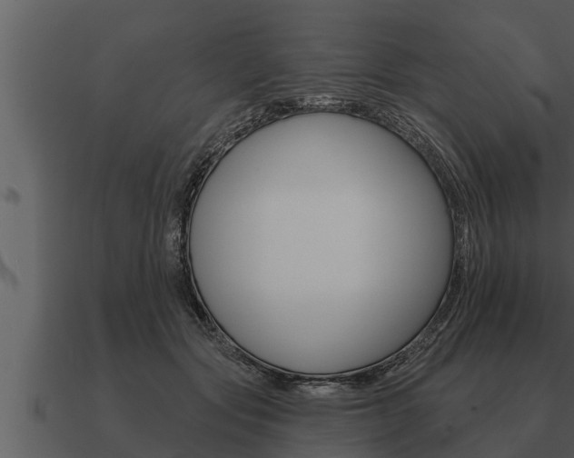 X0000091090557200708061001