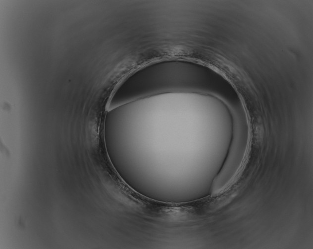 X0000091090558200708061001
