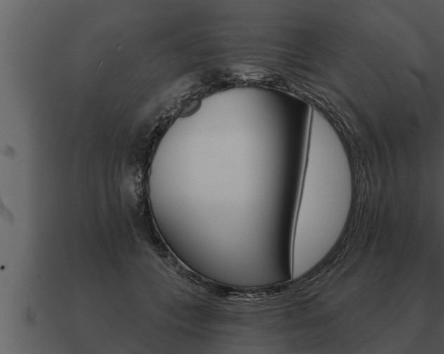 X0000091090559200708061001